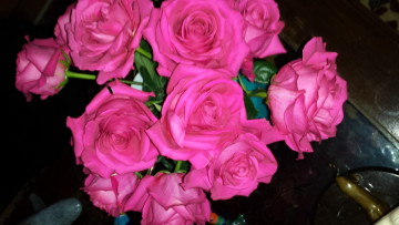 Pink Floyd Roses by Texas Flowers